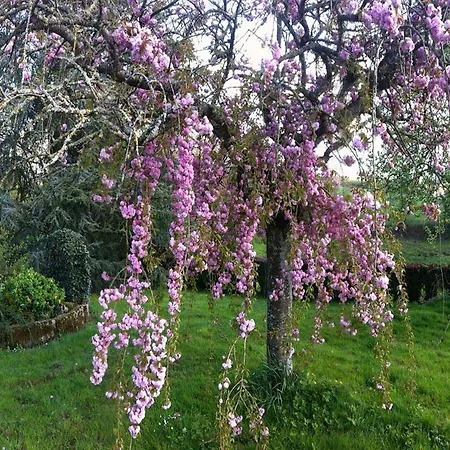 La Gautraie Gasthuis 3*