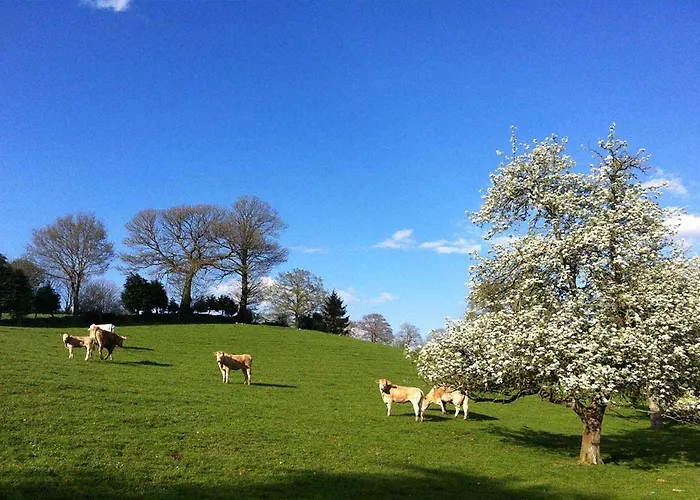 Guest house La Gautraie Carnet